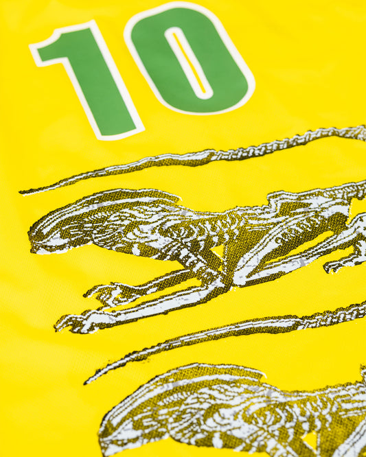 JERSEY (17)