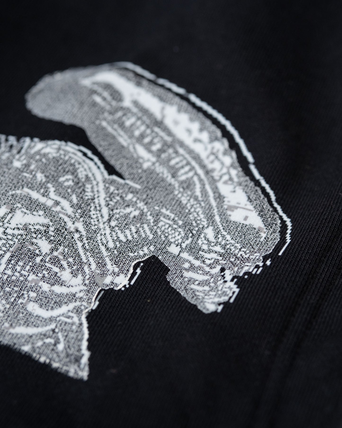 HOODIE (04)