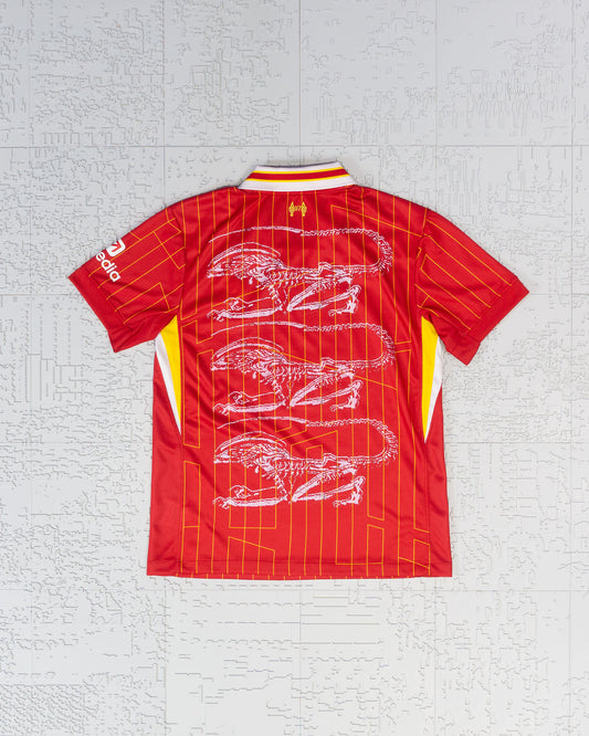 JERSEY (02)