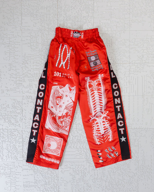 PANTS (01)