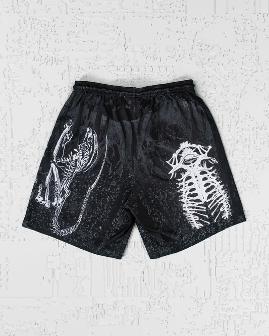 SHORT (06)
