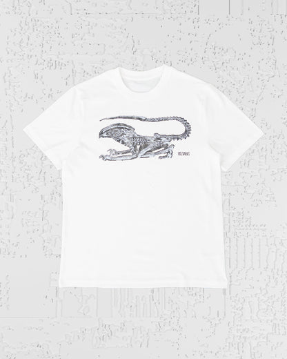 T-SHIRT (02)