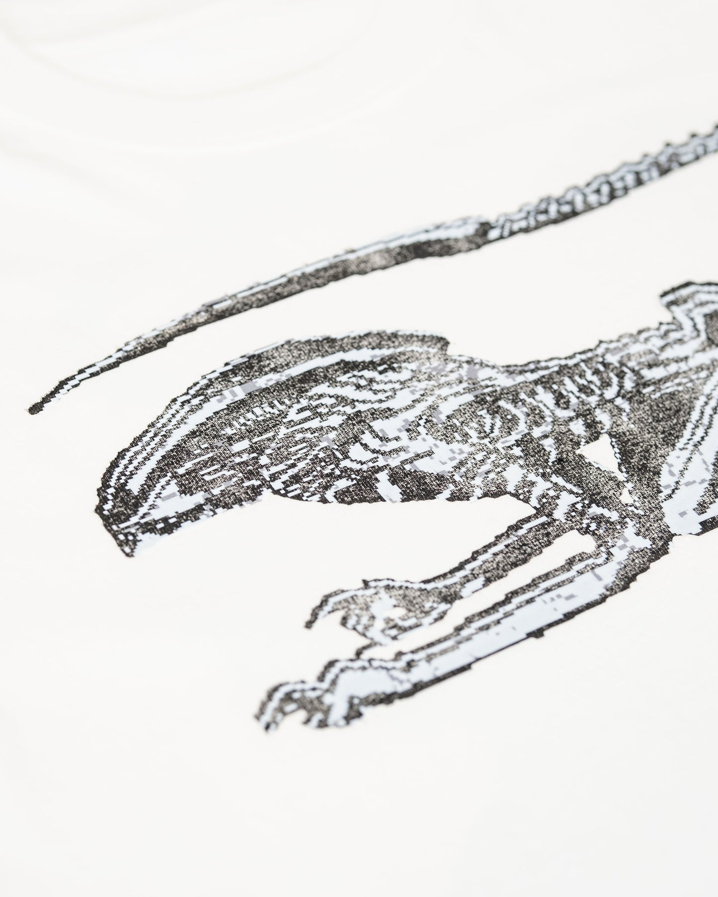T-SHIRT (02)