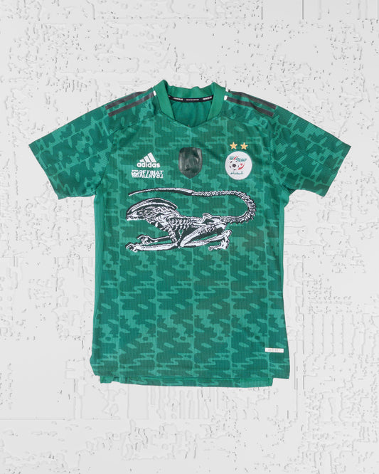 JERSEY (15)