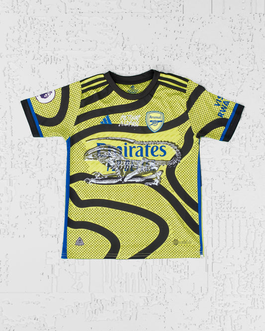 JERSEY (16)