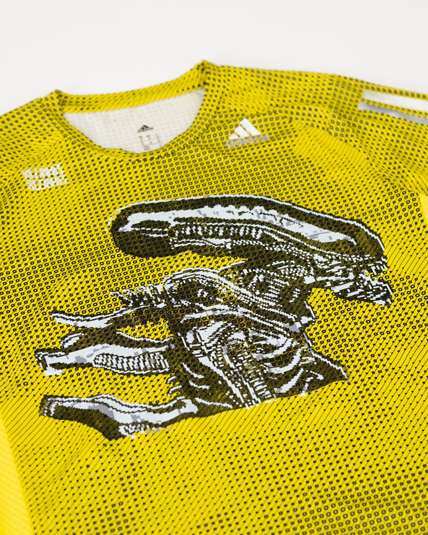 JERSEY (02)