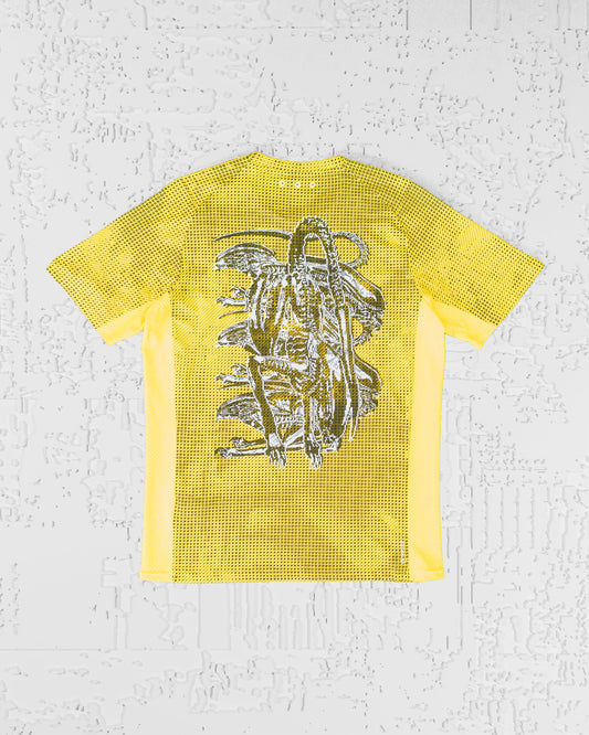 JERSEY (02)