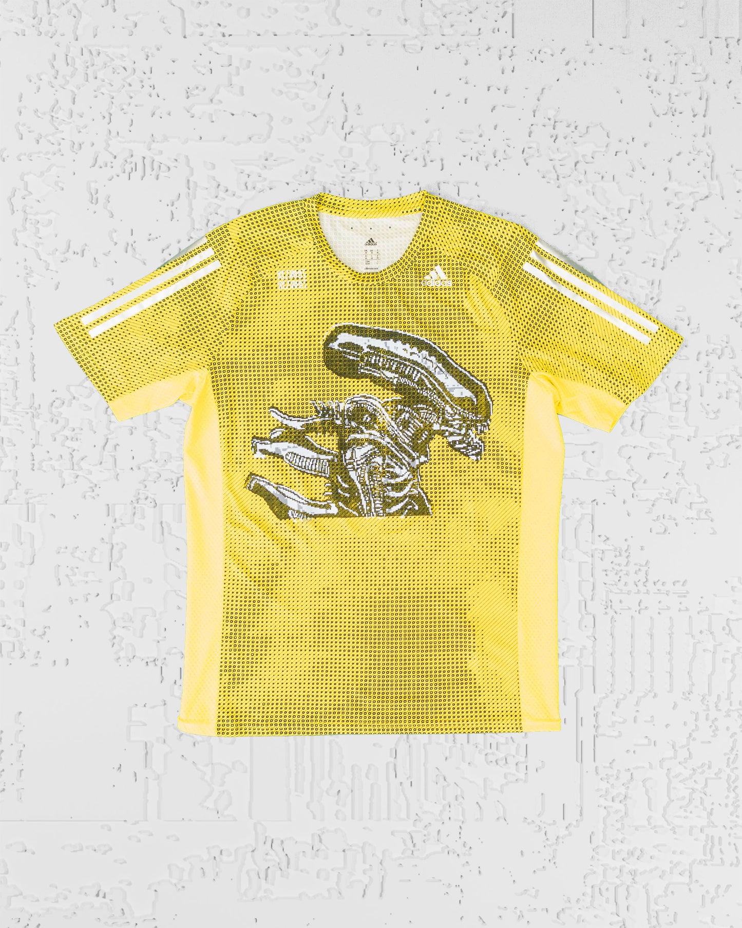JERSEY (02)